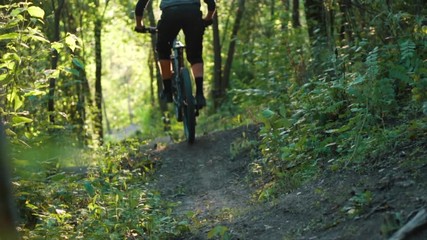 extreme bicyclist rides on forest path, slow motion - Powered by Adobe