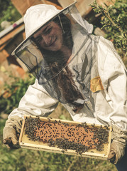 Woman beekeeper and honeycomb