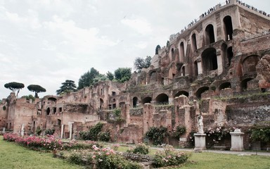 Fototapeta premium Roman Forum-Rome-Italy