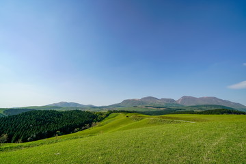 Naklejka premium 産山村 ヒゴタイ公園