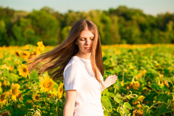 Naklejka na ściany i meble Summer portrait of happy young woman in white with flying hair in sunflower field