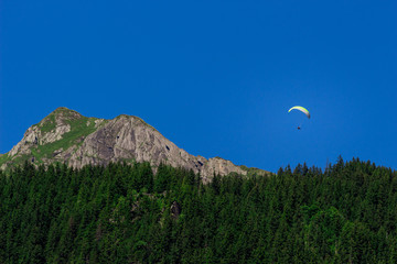 Paraglider in the Bernese Alps
