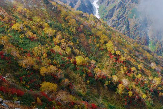 八方尾根images Browse 2 107 Stock Photos Vectors And Video Adobe Stock