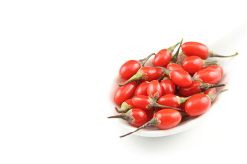 fresh goji berries in a white porcelain spoon isolated on a white background with copy space