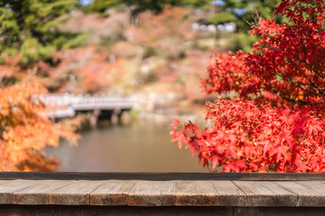 Business concept - Wood table top on garden in the autumn season in a public park of Nara, Japan. Can be used for display or montage your products or design key visual layout.