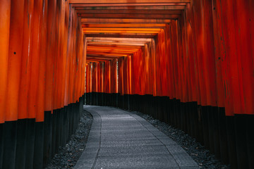 Fototapeta premium Pathway orii gates at Fushimi Inari Shrine at night and rain Kyoto, Japan.