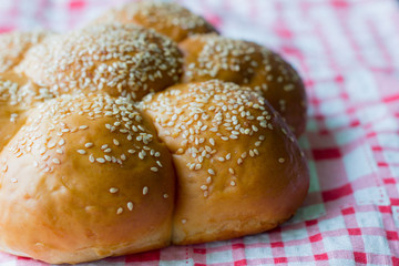 fresh bun with sesame seeds