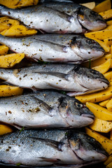 Fish Sparus aurata for baking with potatoes and greens