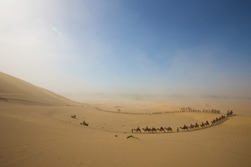 Fototapeta na wymiar Tourists ride Camel over Sunshine Summer Desert