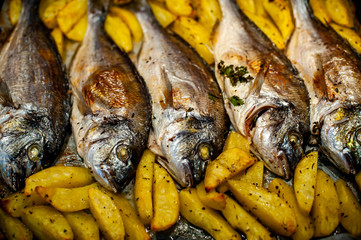 Fish Sparus aurata for baking with potatoes and greens