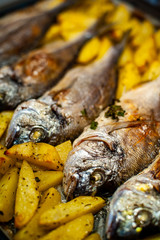 Fish Sparus aurata for baking with potatoes and greens