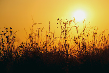 Fototapeta premium Sunset