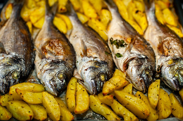 Fish Sparus aurata for baking with potatoes and greens
