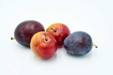 Several Plums on White Background