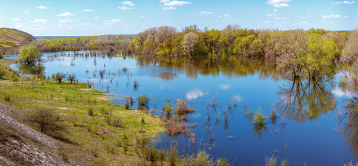 Spring flood on river Don, Russia. Meadow and forest under water