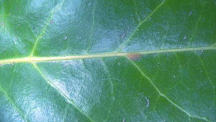 Feuille 3