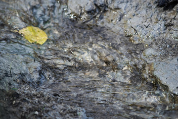 Natural water flow with a yellow leaf is close