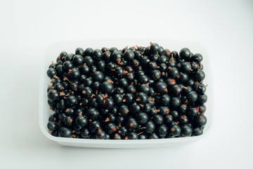Black currant berries in a plastic container