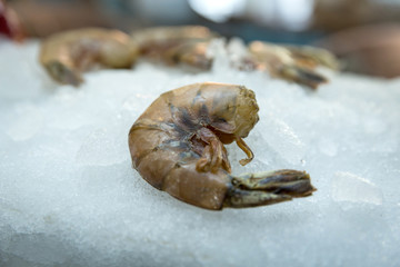Seafood on ice base in restaurant.
