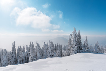 Fantastic winter landscape with snowy trees. Carpathian mountains, Ukraine, Europe. Christmas holiday concept