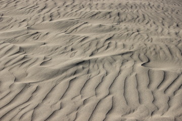 Sand, Palmen