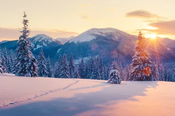  Fantastic orange winter landscape in snowy mountains glowing by sunlight. Dramatic wintry scene with snowy trees. Christmas holiday concept. Carpathians mountain, Ukraine, Europe © Ivan Kmit