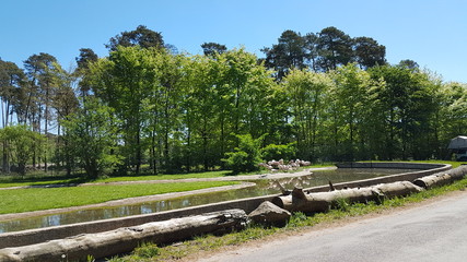 Serengeti Park Germany ( Hodenhagen)