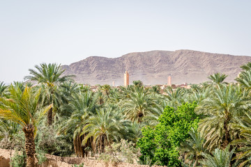 Fototapeta na wymiar Desert of figuig