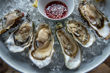 Oysters in ice