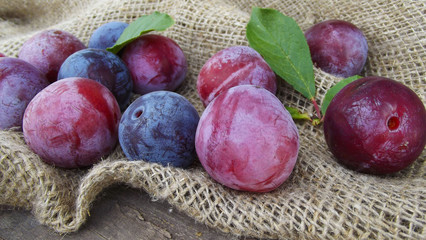 Useful ripe plum on wood background and burlap.