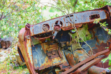 Rusty car wreck abandoned in a wood