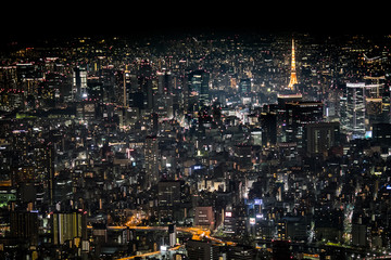 Fototapeta na wymiar Bright Night Above Tokyo