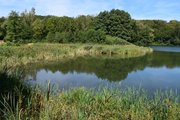 spiegelndes Holzmaar © Markus Volk
