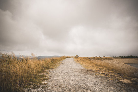 Dirt Trail With Golden Grass On Both Sides