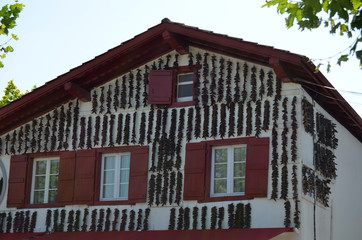 piments d'Espelette à Espelette