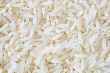 Thailand Jasmine rice texture background close up