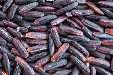 raw organic Thailand riceberry rice texture background