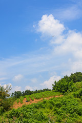 Obraz premium a rural summer of Junggok-ri