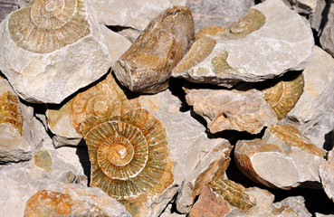 heap of snake stones