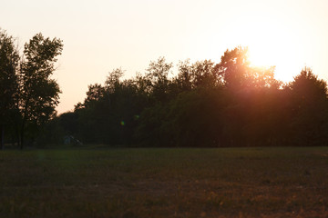 Beautiful sunset over the green field
