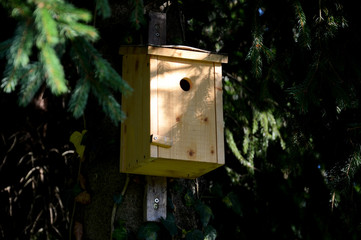Vogelhaus, Nistkasten