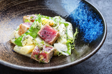 Modern fried tuna fish tataki filet salad with white asparagus sugar snaps and parmesan cheese as top view on a plate