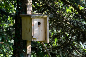 Vogelhaus, Nistkasten