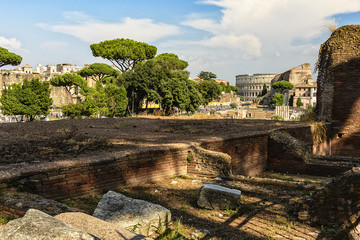 Colosseum in Rome From Fori Imperiali -  Colosseum is one of the main travel attractions - The Main symbol of Rome