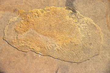 Stone background texture background natural stone close-up