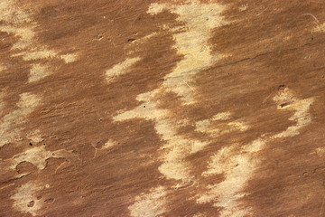 Stone background texture background natural stone close-up