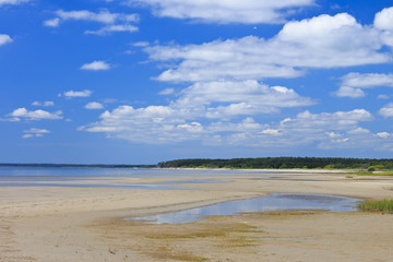 Beach in mid-summer.