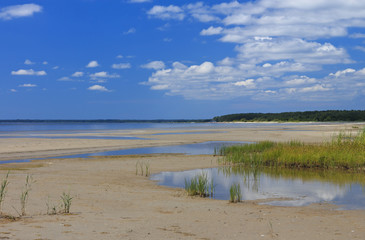 Beach in mid-summer.
