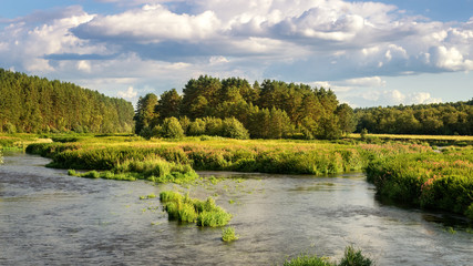 панорама летнего пейзажа на берегу уральской реки с лесом, Россия, август © 7ynp100