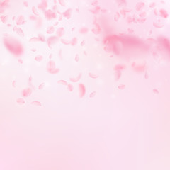Sakura petals falling down. Romantic pink flowers gradient. Flying petals on pink square background.